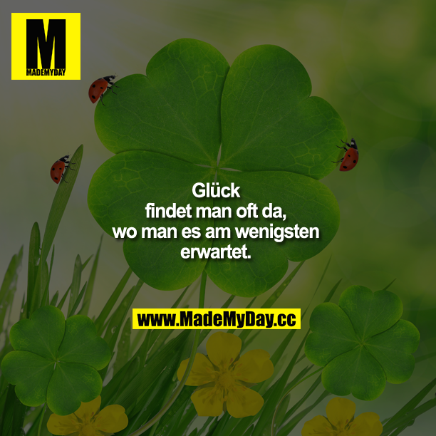 Glück findet man oft da, wo man es am wenigsten erwartet.