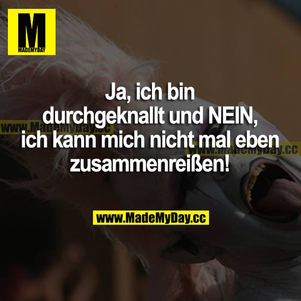 Ja, ich bin durchgeknallt und NEIN, ich kann mich nicht mal eben zusammenreißen!