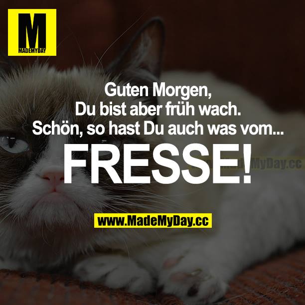 Guten Morgen, du bist aber früh wach. Schön, so hast du auch was vom... FRESSE!