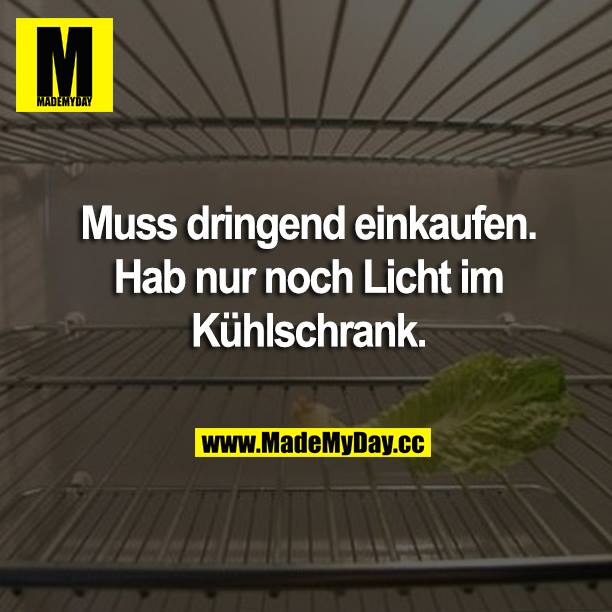 Muss dringend einkaufen. Hab nur noch Licht im Kühlschrank.