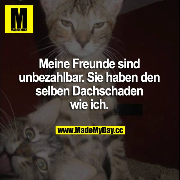 Meine Freunde sind unbezahlbar. Sie haben den selben Dachschaden wie ich.