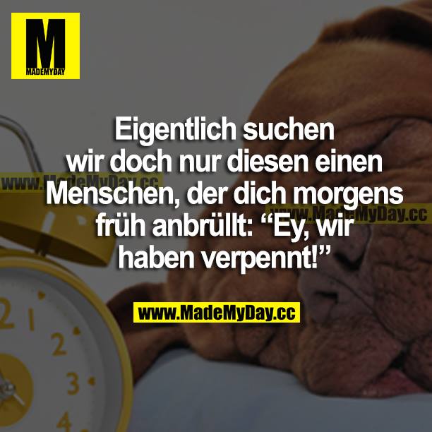 Eigentlich suchen wir doch nur diesen einen Menschen, der dich morgens früh anbrüllt: "Ey, wir haben verpennt!"