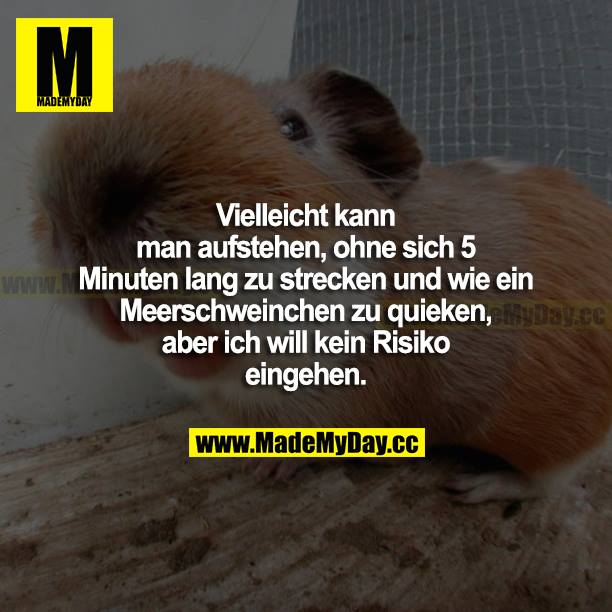 Vielleicht kann man aufstehen, ohne sich 5 Minuten lang zu strecken und wie ein Meerschweinchen zu quieken, aber ich will kein Risiko eingehen.