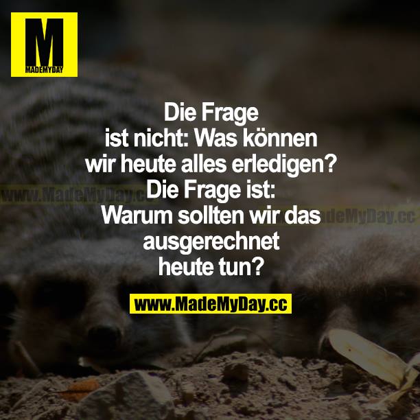 Die Frage ist nicht: Was können wir heute alles erledigen? Die Frage ist: Warum sollten wir das ausgerechnet heute tun?