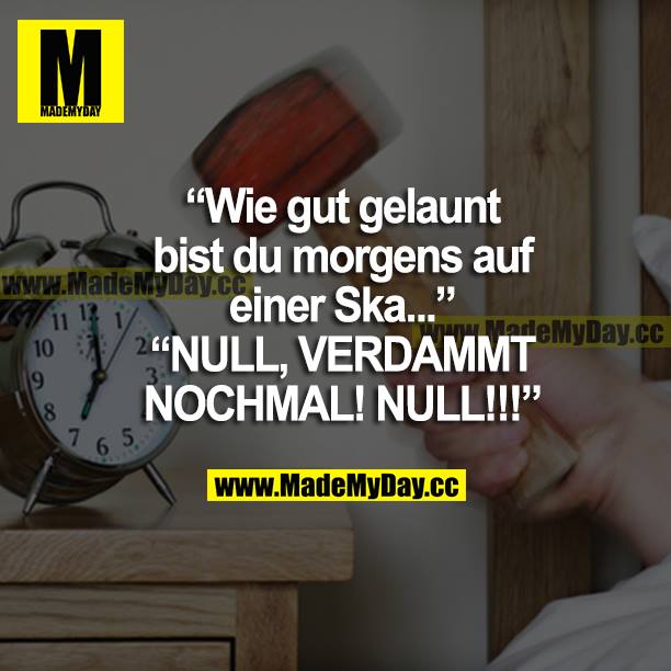 "Wie gut gelaunt bist du morgens auf einer Ska..."<br />
"NULL, VERDAMMT NOCHMAL! NULL!!!"