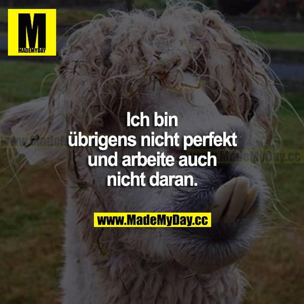 Ich bin übrigens nicht perfekt und arbeite auch nicht daran.
