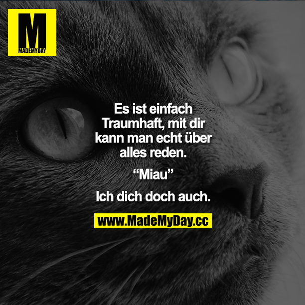 Es ist einfach traumhaft, mit dir kann man echt über alles reden."Miau" Ich dich doch auch.