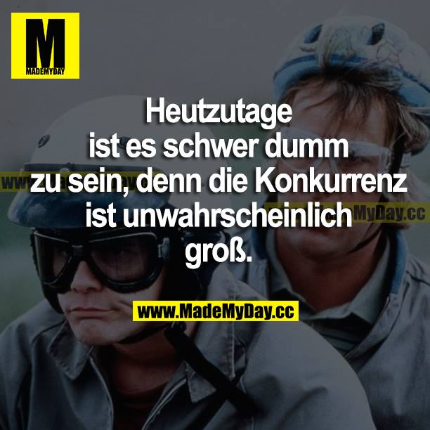 Heutzutage ist es schwer dumm zu sein, denn die Konkurrenz ist unwahrscheinlich groß.