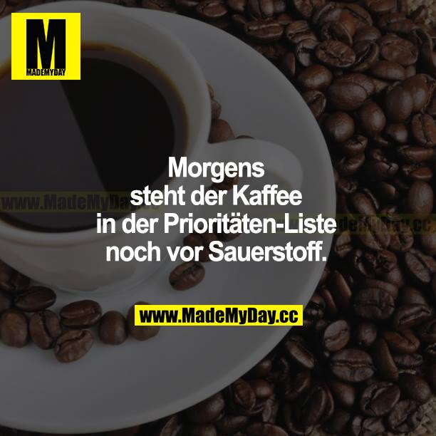 Morgens steht der Kaffee in der Prioritäten-Liste noch vor Sauerstoff.