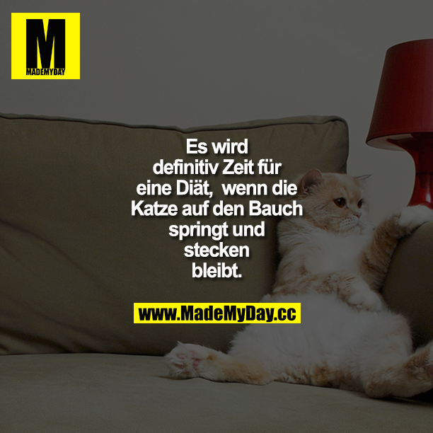 Es wird definitiv Zeit für eine Diät, wenn die Katze auf den Bauch springt und stecken bleibt.
