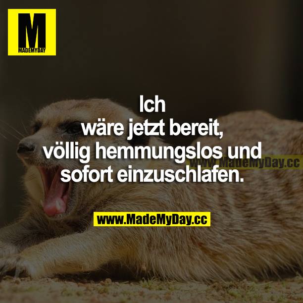 Ich wäre jetzt bereit, völlig hemmungslos und sofort einzuschlafen.