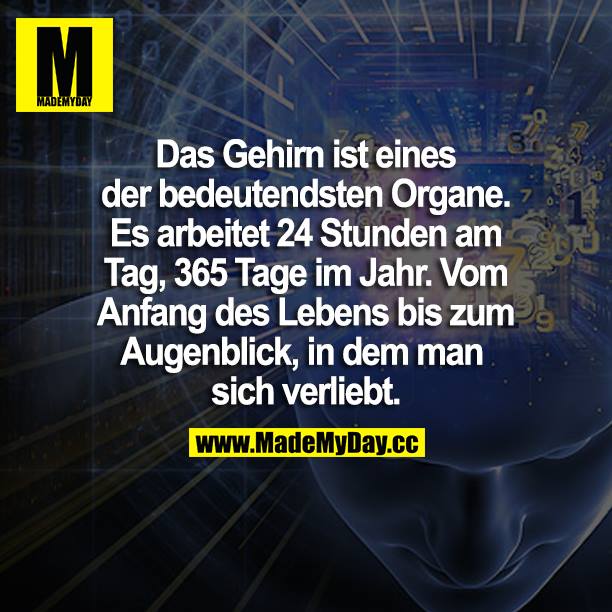 Das Gehirn ist eines der bedeutendsten Organe. Es arbeitet 24 Stunden am Tag, 365 Tage im Jahr. Vom Anfang des Lebens bis zum Augenblick, in dem man sich verliebt.
