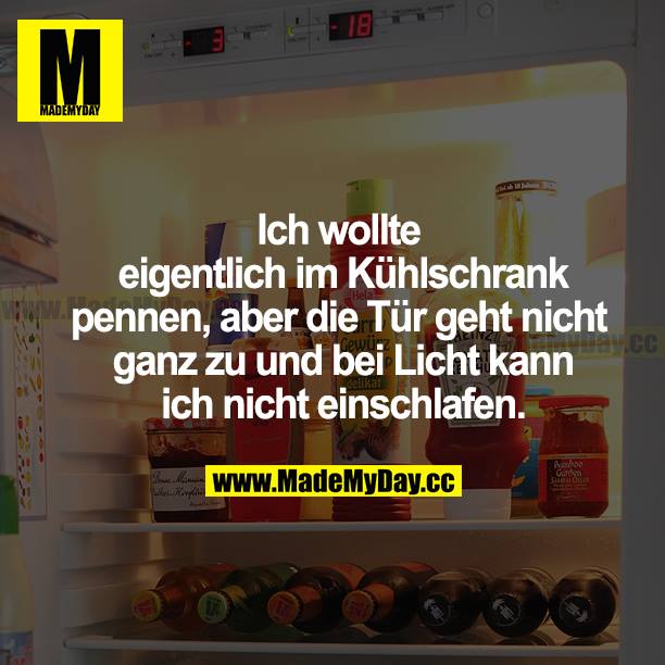 Ich wollte eigentlich im Kühlschrank pennen, aber die Tür geht nicht ganz zu und bei Licht kann ich nicht einschlafen.