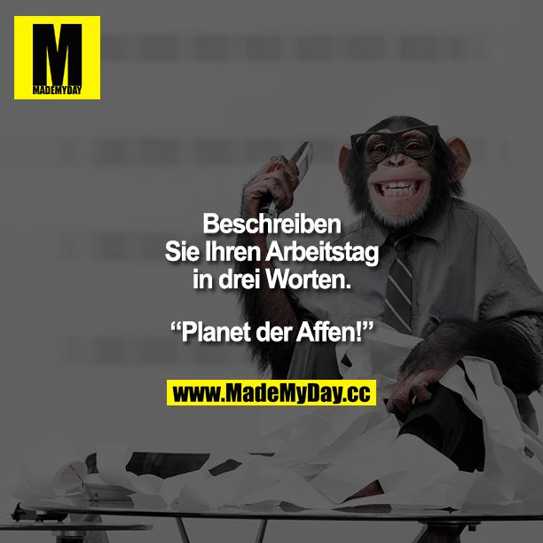 "Beschreiben Sie Ihren Arbeitstag in drei Worten."<br />
"Planet der Affen!"