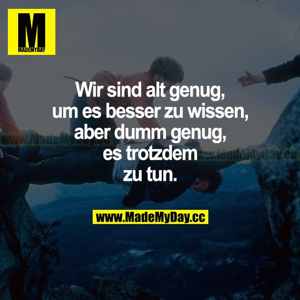 Wir sind alt genug, um es besser zu wissen, aber dumm genug, es trotzdem zu tun.
