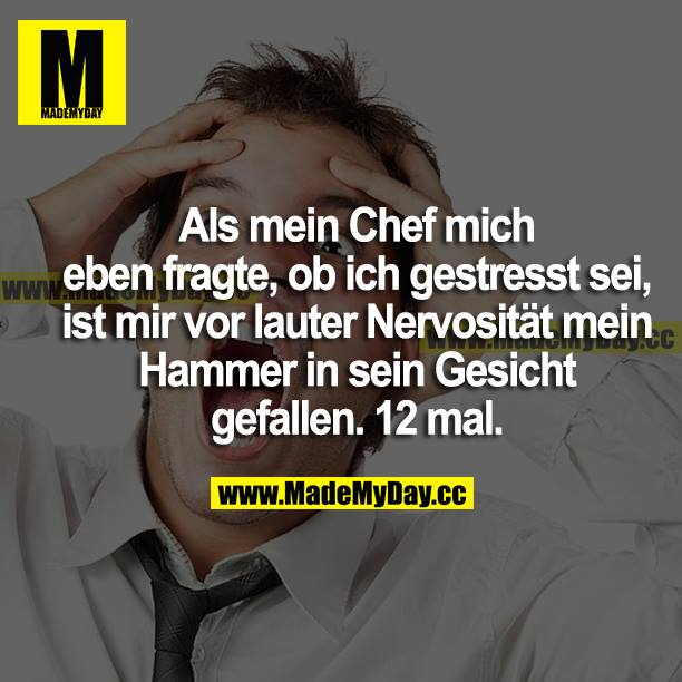 Als mein Chef mich vorhin fragte, ob ich gestresst sei, ist mir vor lauter Nervosität mein Hammer in sein Gesicht gefallen. 12-mal.