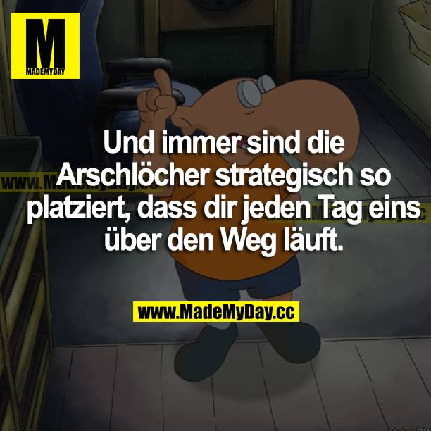 Und immer sind die Arschlöcher strategisch so platziert, dass dir jeden Tag eins über den Weg läuft.