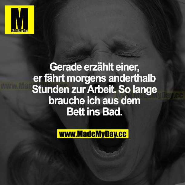Gerade erzählt einer, er fährt morgens anderthalb Stunden zur Arbeit. So lange brauche ich aus dem Bett ins Bad.