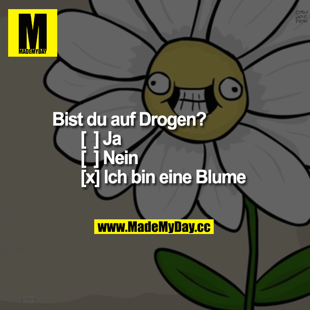 Bist du auf Drogen?<br />
 [  ] Ja <br />
[  ] Nein<br />
[x] Ich bin eine Blume
