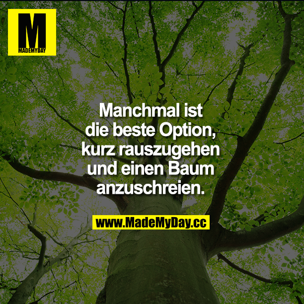 Manchmal ist die beste Option, kurz rauszugehen und einen Baum anzuschreien.