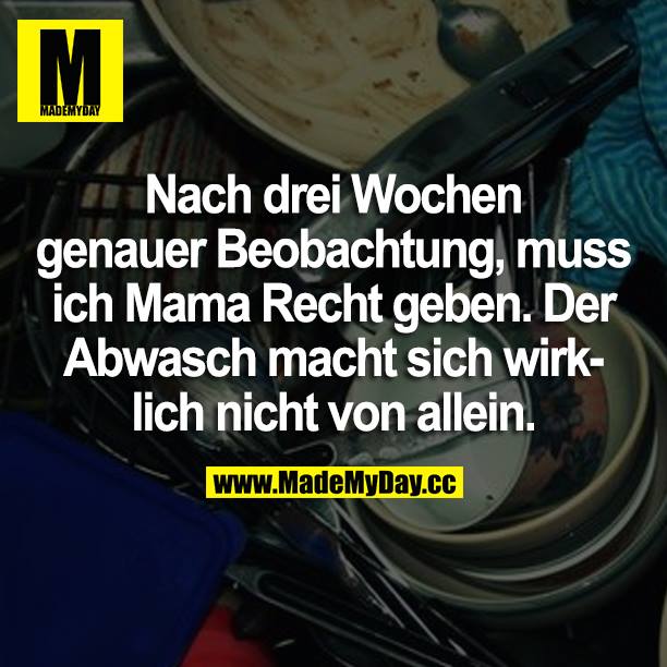 Nach drei Wochen genauer Beobachtung, muss ich Mama Recht geben. Der Abwasch macht sich wirklich nicht von allein.
