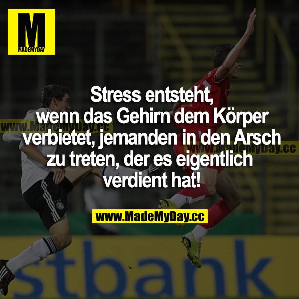 Stress entsteht, wenn das Gehirn dem Körper verbietet, jemanden in den Arsch zu treten, der es eigentlich verdient hat!