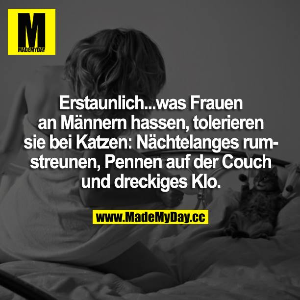 Erstaunlich... <br />
was Frauen an Männern hassen, tolerieren sie bei Katzen: Nächtelanges rumstreunen, Pennen auf der Couch und dreckiges Klo.