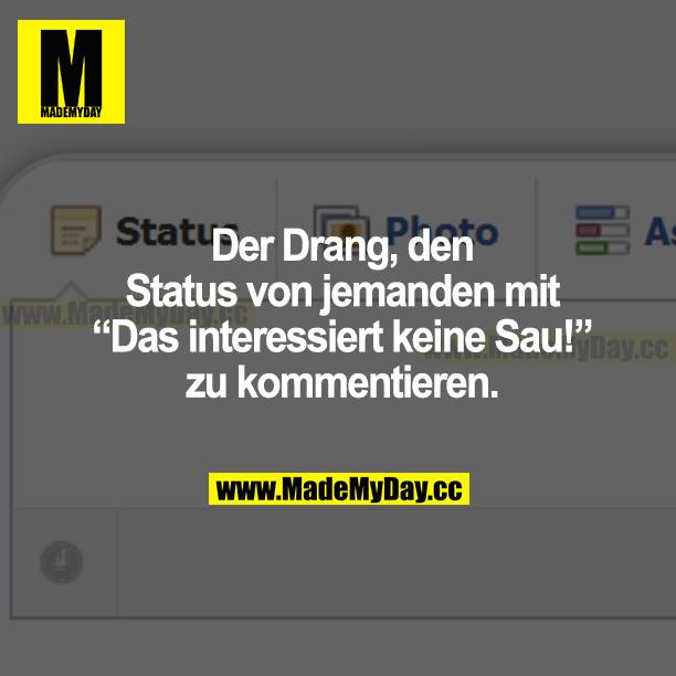 Der Drang, den Status von jemandem mit "Das interessiert keine Sau!" zu kommentieren.