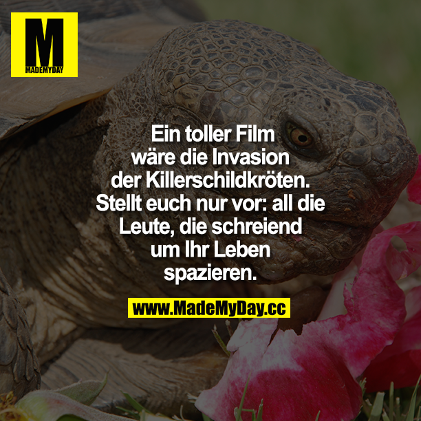  Ein toller Film wäre die Invasion der Killerschildkröten. Stellt euch nur vor: all die Leute, die schreiend um Ihr Leben spazieren.