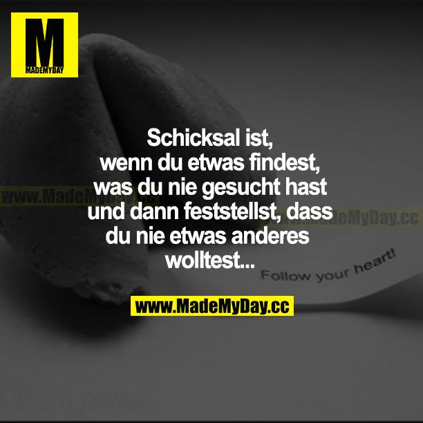 Schicksal ist, wenn du etwas findest, was du nie gesucht hast und dann feststellst, dass du nie etwas anderes wolltest...