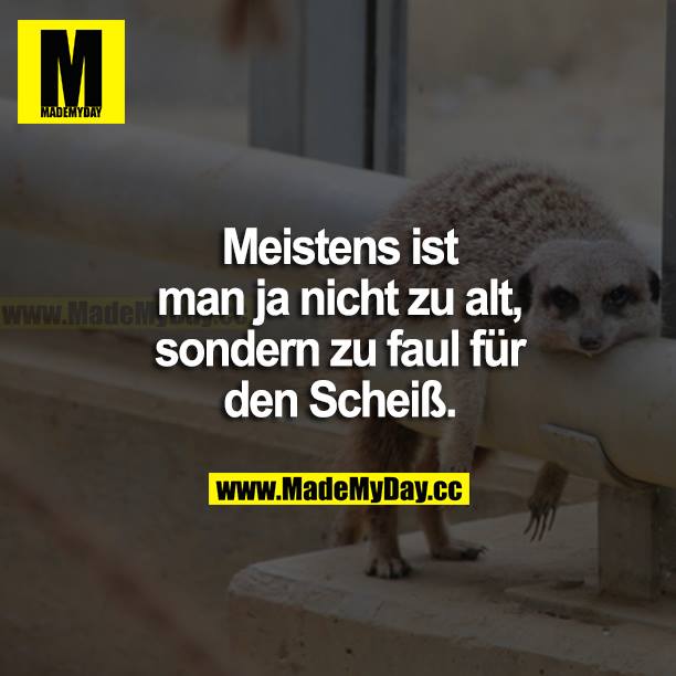 Meistens ist man ja nicht zu alt, sondern zu faul für den Scheiß.