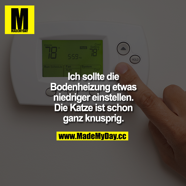 Ich sollte die Bodenheizung etwas niedriger einstellen. Die Katze ist schon ganz knusprig.