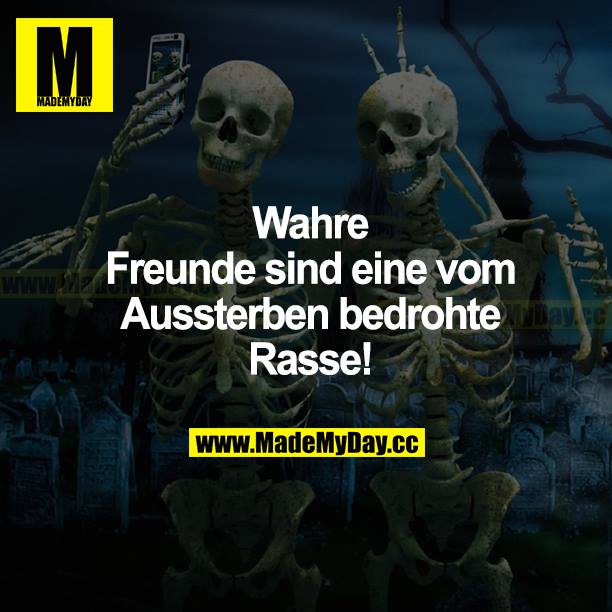 Wahre Freunde sind eine vom Aussterben bedrohte Rasse!