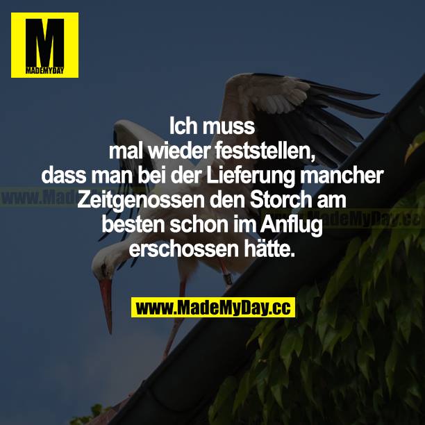 Ich muss mal wieder feststellen, dass man bei der Lieferung mancher Zeitgenossen den Storch am besten schon im Anflug erschossen hätte.