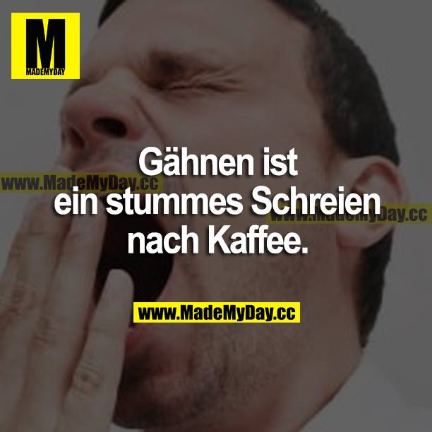 Gähnen ist ein stummes Schreien nach Kaffee.
