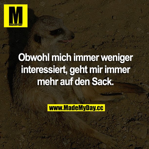 Obwohl mich immer weniger interessiert, geht mir immer mehr auf den Sack.