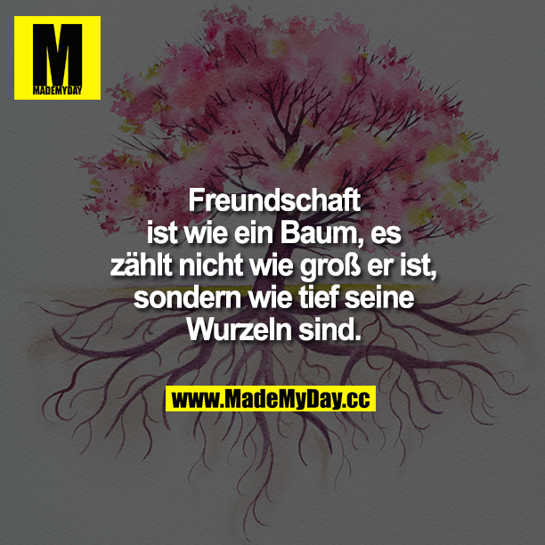 Freundschaft ist wie ein Baum, Made My Day