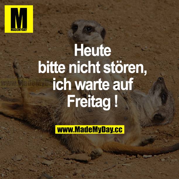 Heute bitte nicht stören, ich warte auf Freitag!