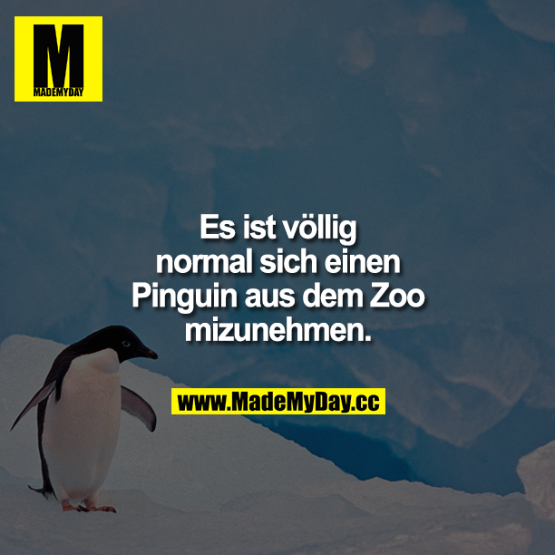 Es ist völlig normal, sich einen Pinguin aus dem Zoo mitzunehmen.