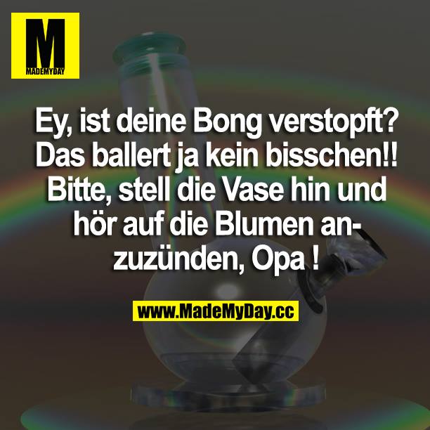 Ist deine Bong verstopft? Das ballert ja kein bisschen!! Bitte, stell die Vase hin und hör auf die Blumen anzuzünden, Opa!