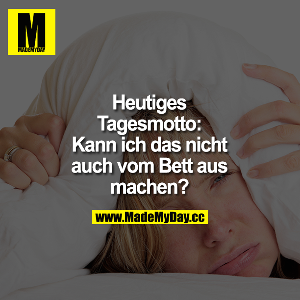Heutiges Tagesmotto: "Kann ich das nicht auch vom Bett aus machen?"