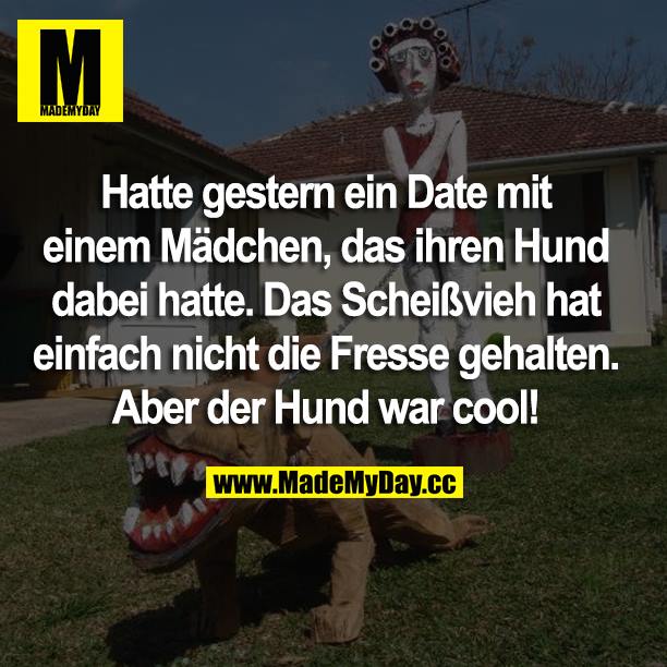Hatte gestern ein Date mit dem Mädchen, das ihren Hund dabei hatte. Das Scheißvieh hat einfach nicht die Fresse gehalten. Aber er Hund war cool!