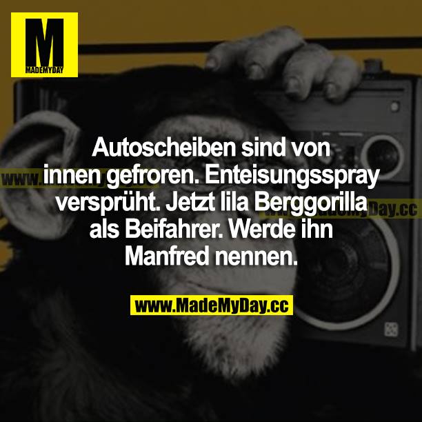 Autoscheiben sind von innen gefroren. Enteisungsspray versprüht. Jetzt lila Berggorilla als Beifahrer. Werde ihn Manfred nennen.
