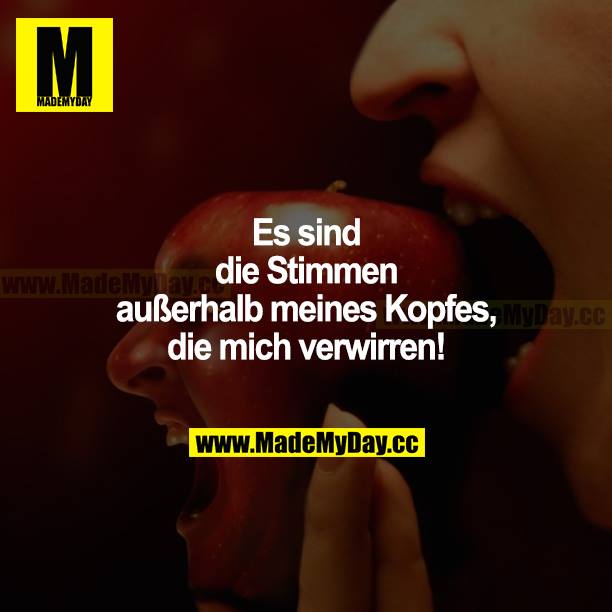 Es sind die Stimmen außerhalb meines Kopfes, die mich verwirren!