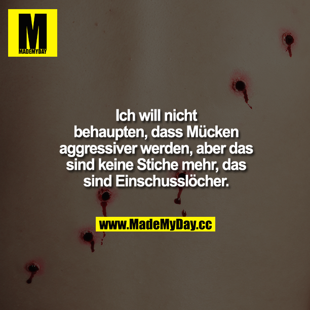 Ich will nicht behaupten dass Mücken aggressiver werden, aber das sind keine Stiche mehr, das sind Einschusslöcher.