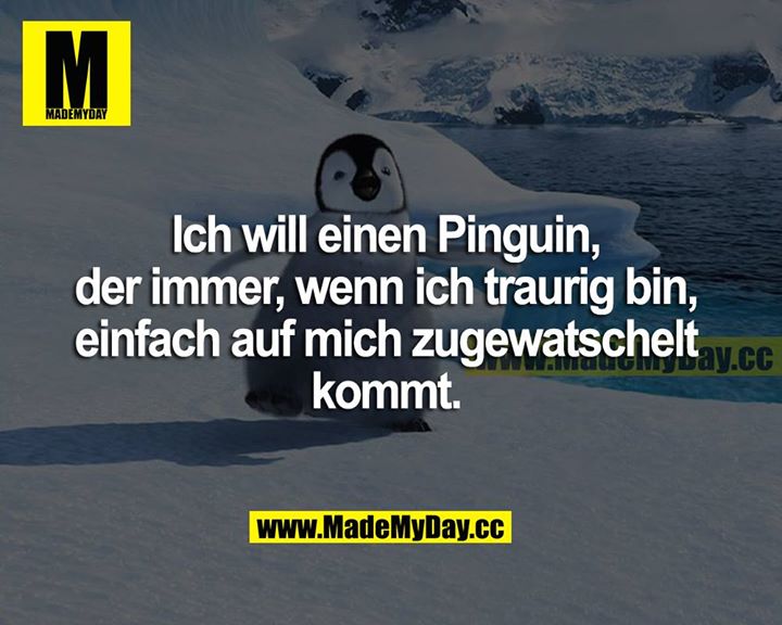 Ich will einen Pinguin, der immer, wenn ich traurig bin, einfach auf mich zugewatschelt kommt.