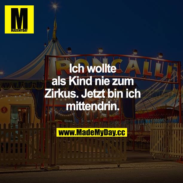 Ich wollte als Kind nie zum Zirkus. Jetzt bin ich mittendrin.
