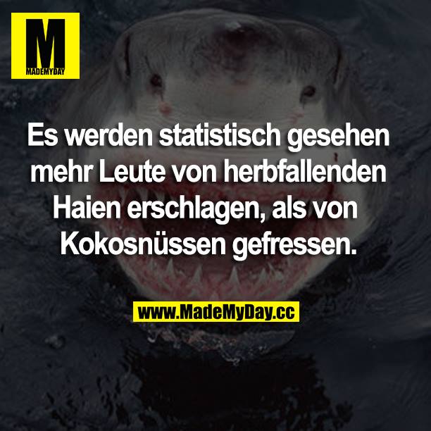 Es werden statistisch gesehen mehr Leute von herabfallenden Haien erschlagen, als von Kokosnüssen gefressen. 