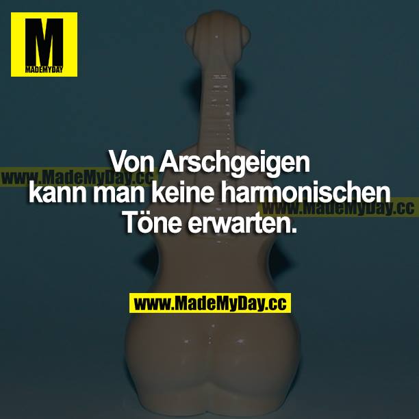 Von Arschgeigen kann man keine harmonischen Töne erwarten.