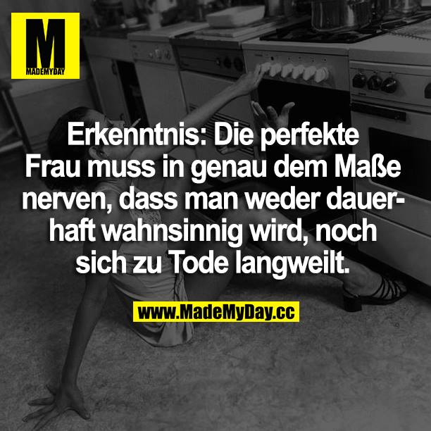 Erkenntnis: Die perfekte Frau muss in genau dem Maße nerven, dass man weder dauerhaft wahnsinnig wird, noch sich zu Tode langweilt.